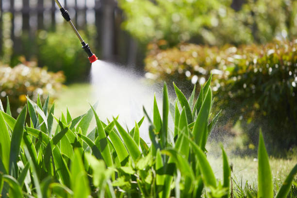 24/7 Emergency Ant Control experts in Oildale, CA